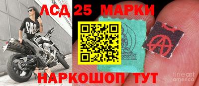 спайс Краснодар