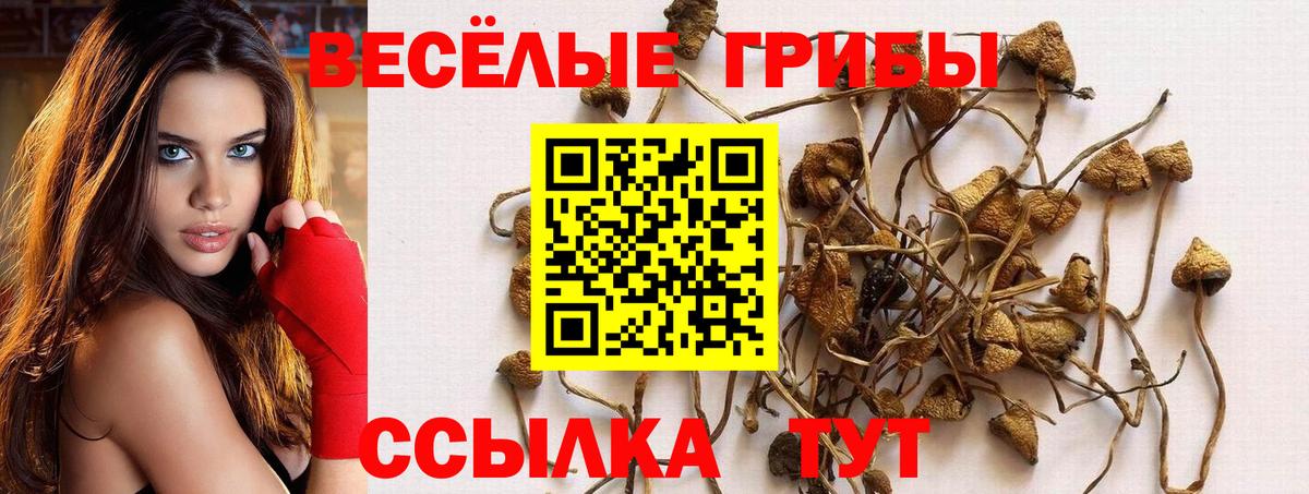 Галлюциногенные грибы Magic Shrooms  Галлюциногенные грибы мухоморы  Каменск-Шахтинский  Вход с VPN 